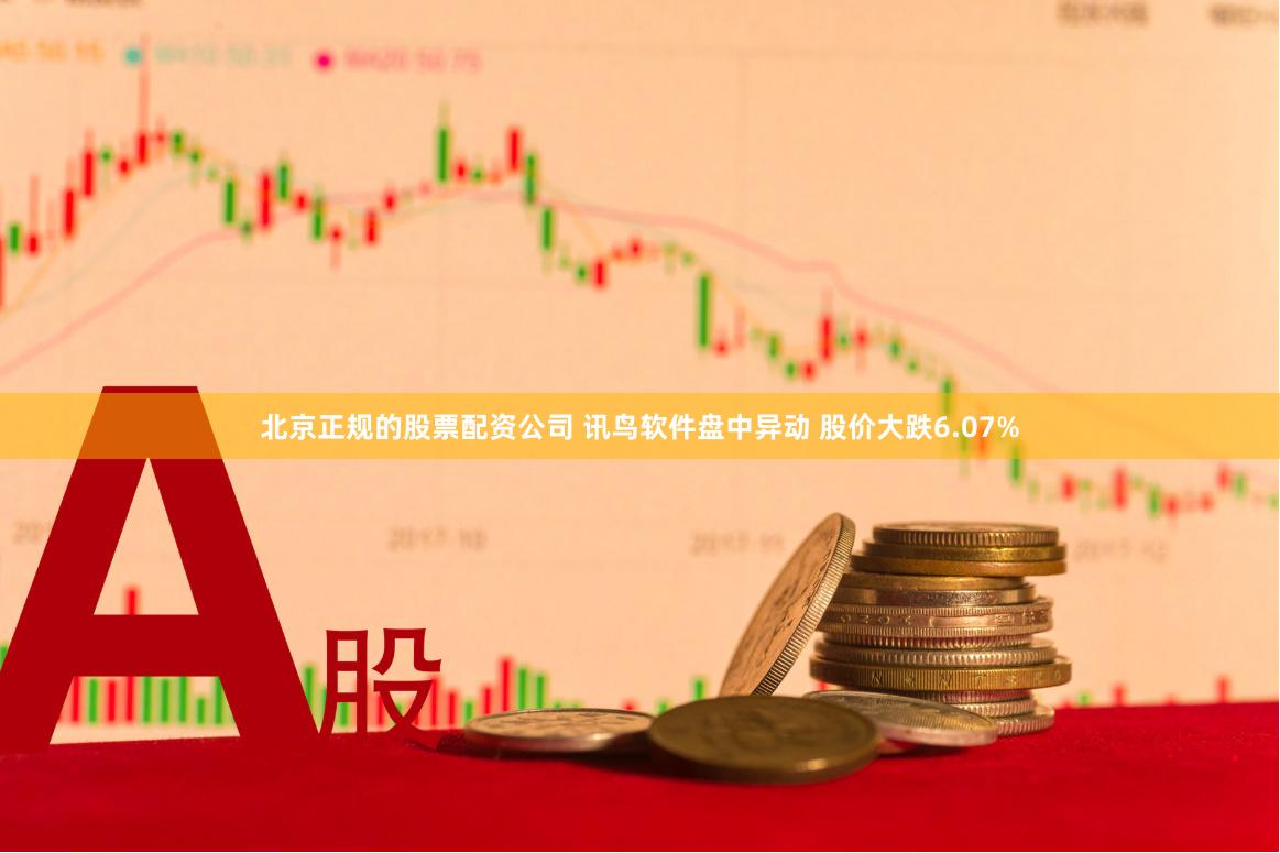 北京正规的股票配资公司 讯鸟软件盘中异动 股价大跌6.07%